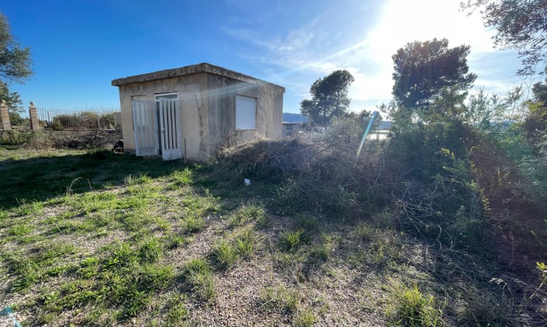 Herverkoop - Finca Country Property -
Aspe