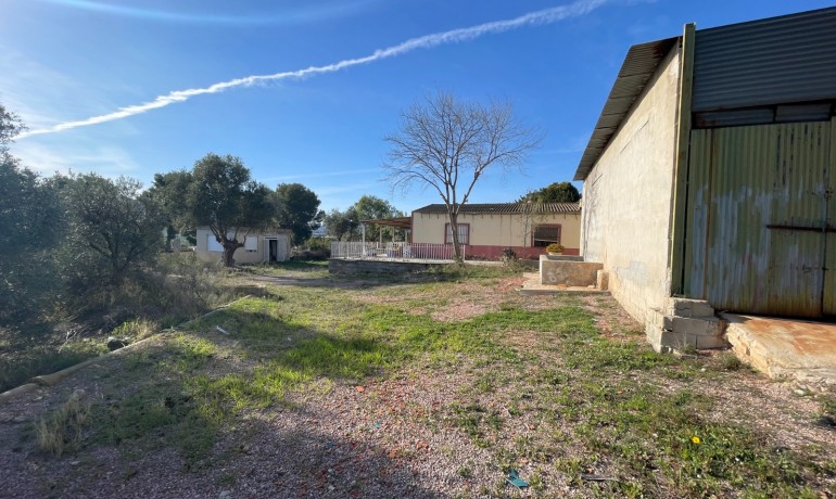 Herverkoop - Finca Country Property -
Aspe