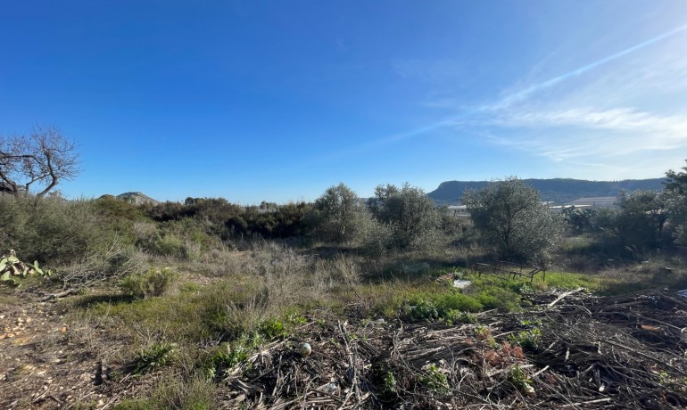 Herverkoop - Finca Country Property -
Aspe