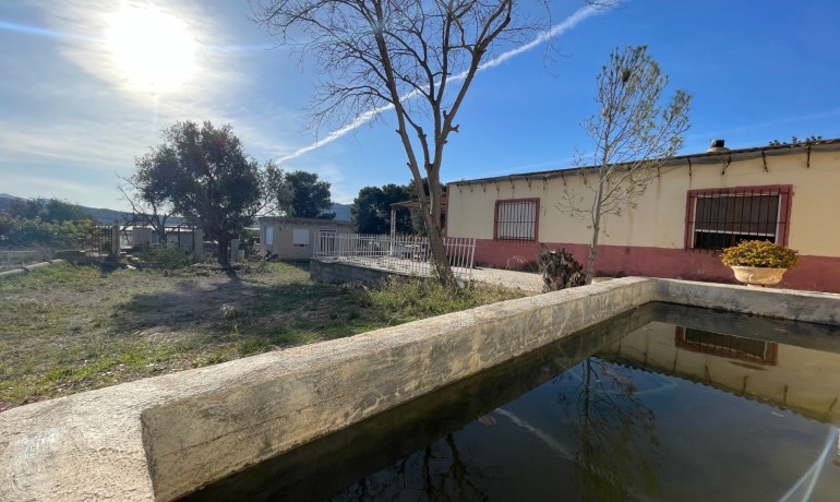 Herverkoop - Finca Country Property -
Aspe