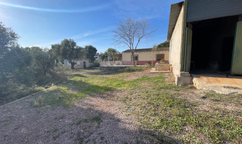 Herverkoop - Finca Country Property -
Aspe