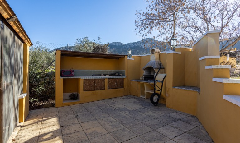 Sale - Finca Country Property -
La Zarza