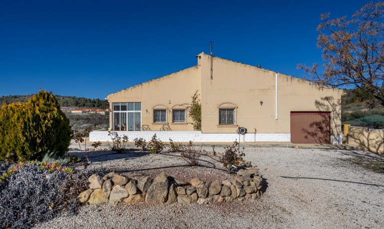 Sale - Finca Country Property -
La Zarza