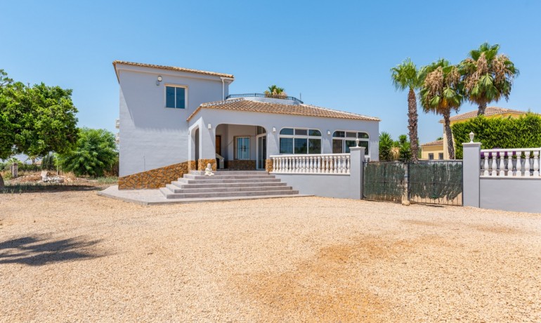 Venta - Finca -
Catral*