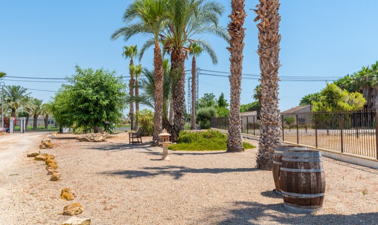 Venta - Finca -
Catral*