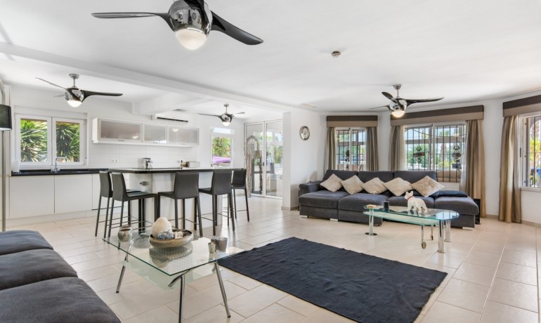 Venta - Finca -
Catral*