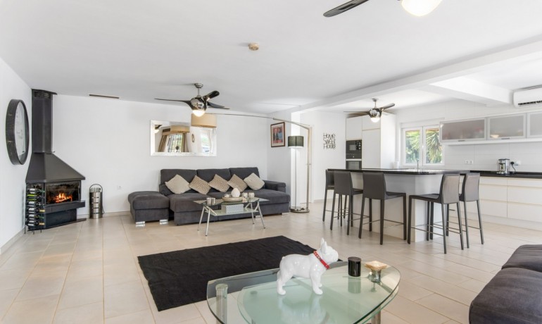 Venta - Finca -
Catral*