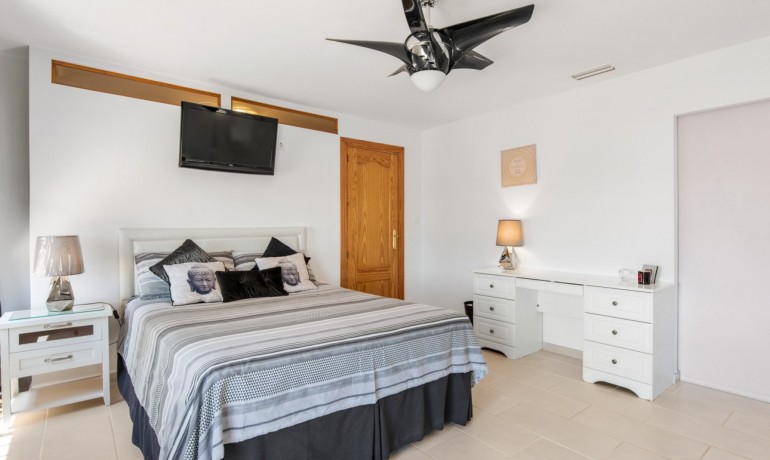 Venta - Finca -
Catral*