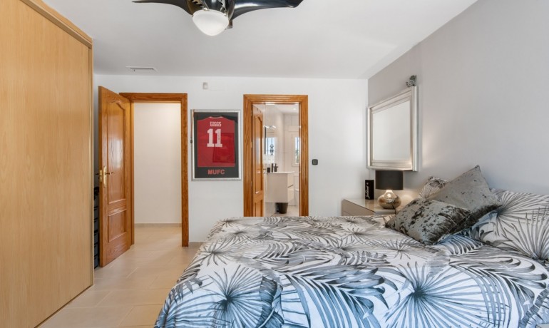 Venta - Finca -
Catral*