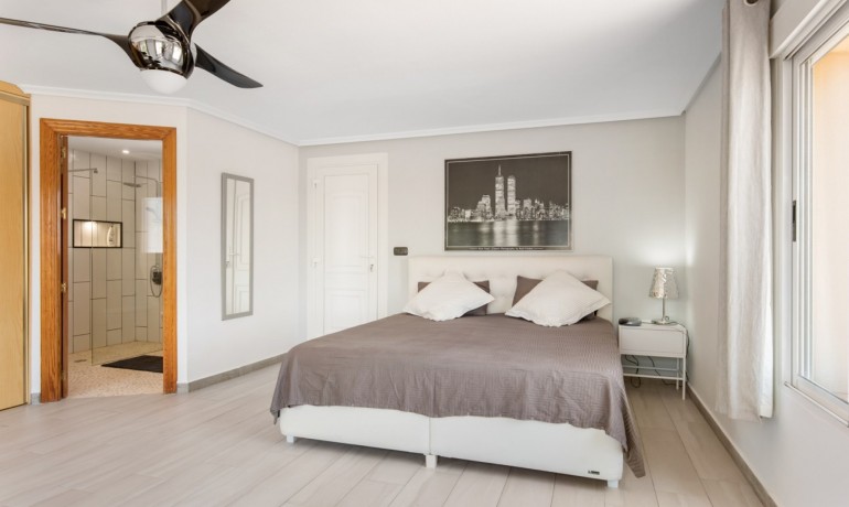 Venta - Finca -
Catral*