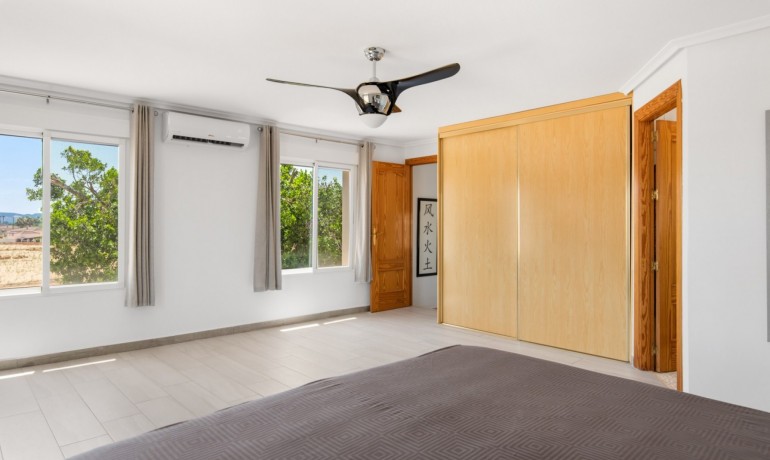 Venta - Finca -
Catral*