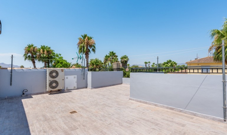 Venta - Finca -
Catral*