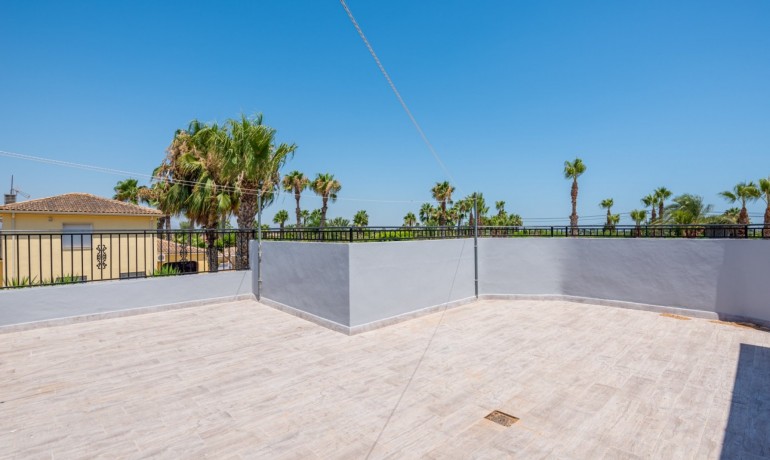 Venta - Finca -
Catral*