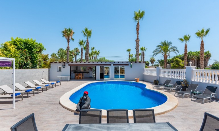 Venta - Finca -
Catral*