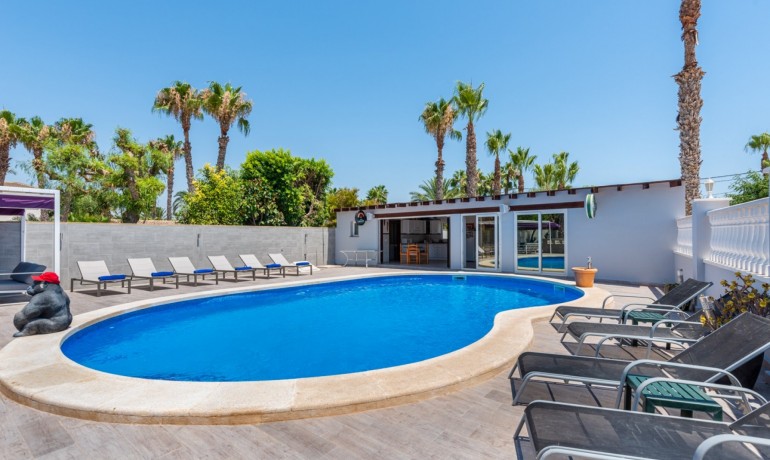 Venta - Finca -
Catral*