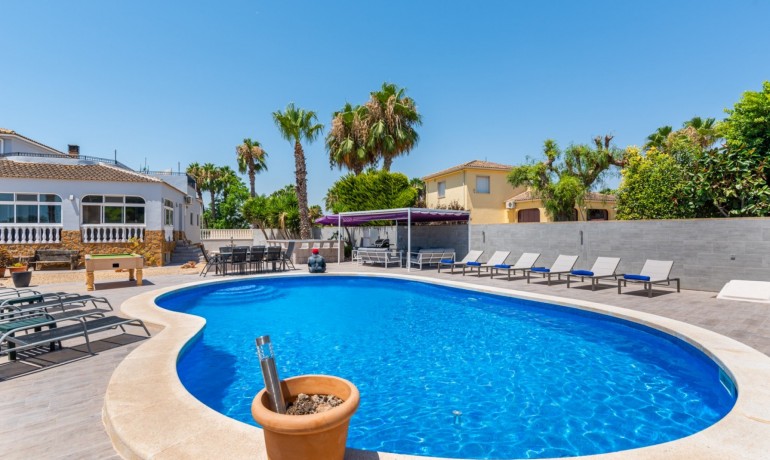 Venta - Finca -
Catral*