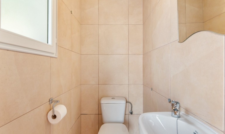 Venta - Finca -
Catral*