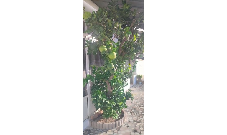 Herverkoop - Villa -
Rojales - Ciudad Quesada