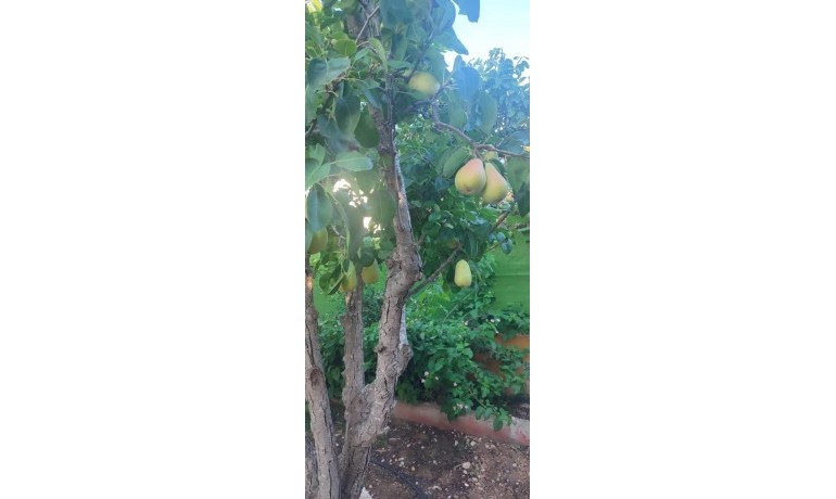 Herverkoop - Villa -
Rojales - Ciudad Quesada