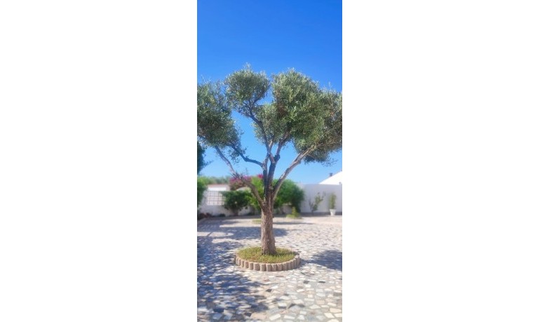 Herverkoop - Villa -
Rojales - Ciudad Quesada