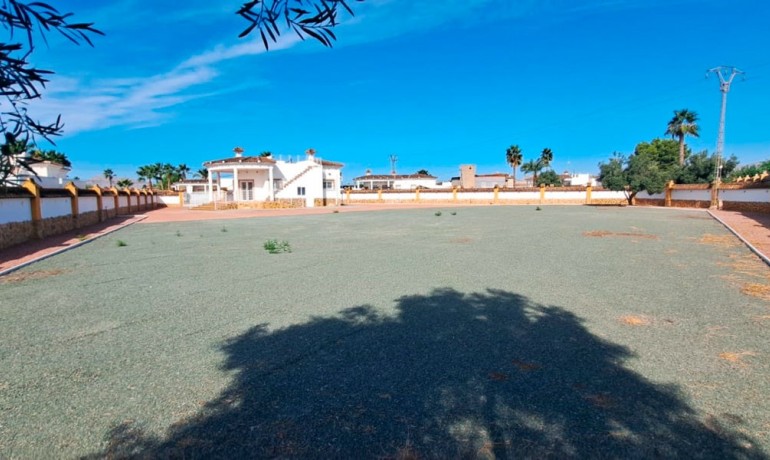 Herverkoop - Finca / Landgoed -
Catral - Catral - Country