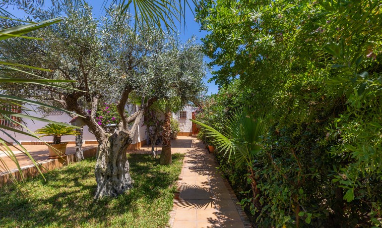 Herverkoop - Villa -
Orihuela Costa - Punta Prima