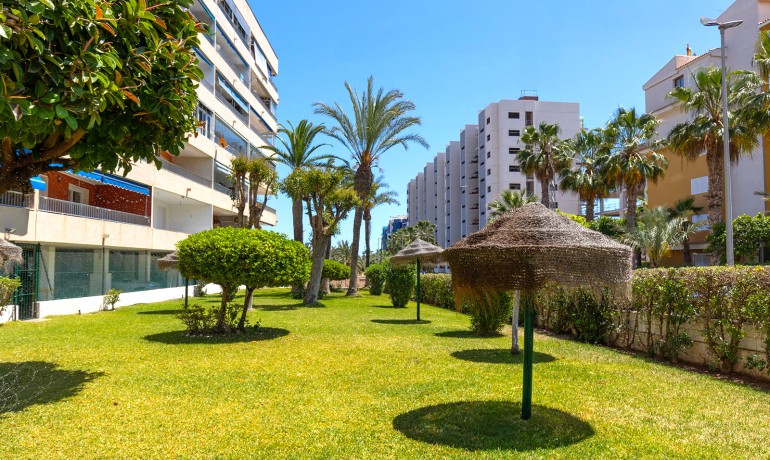 Herverkoop - Appartement / Flat -
Torrevieja - Rocio del Mar