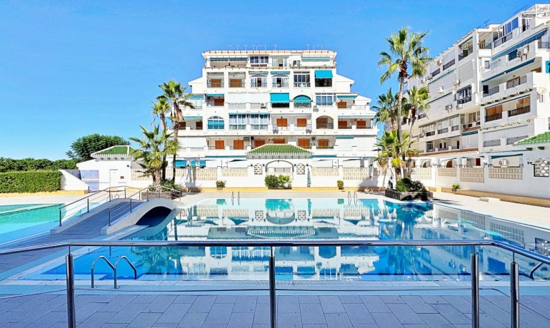 Herverkoop - Appartement / Flat -
La Mata - La Mata - Town