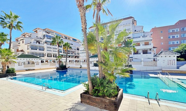 Herverkoop - Appartement / Flat -
La Mata - La Mata - Town