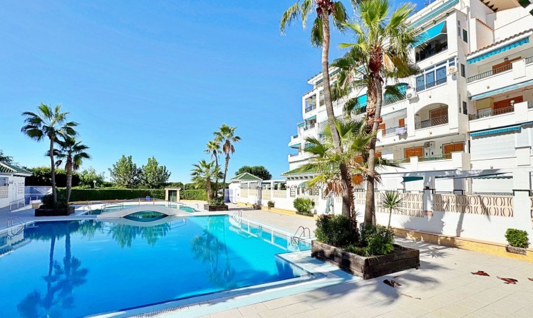 Herverkoop - Appartement / Flat -
La Mata - La Mata - Town