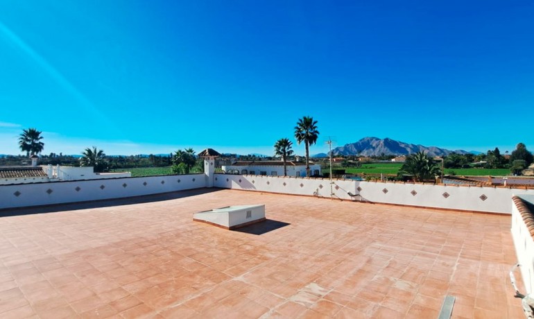 Herverkoop - Finca / Landgoed -
Catral - Catral - Country