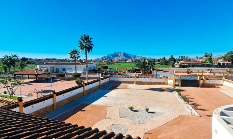 Herverkoop - Finca / Landgoed -
Catral - Catral - Country