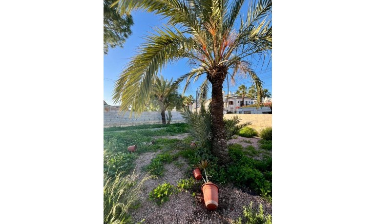 Herverkoop - Villa -
Torrevieja* - Aguas Nuevas