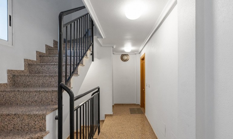 Herverkoop - Appartement / Flat -
Torrevieja* - Paseo maritimo