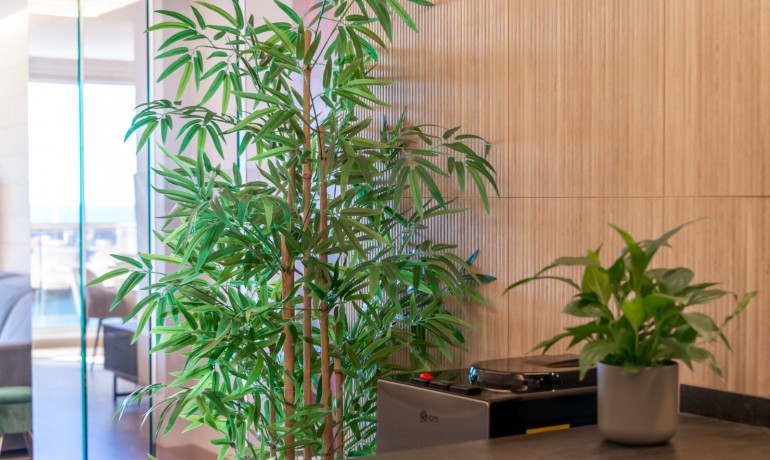 Venta - Apartamento / piso -
Altea