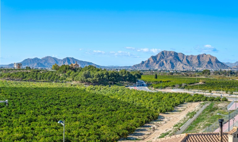 Herverkoop - Appartement / Flat -
Algorfa* - Algorfa