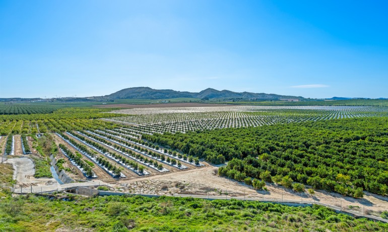 Herverkoop - Appartement / Flat -
Algorfa* - Algorfa