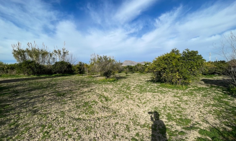 Herverkoop - Villa -
Benejuzar - Comunidad Valenciana