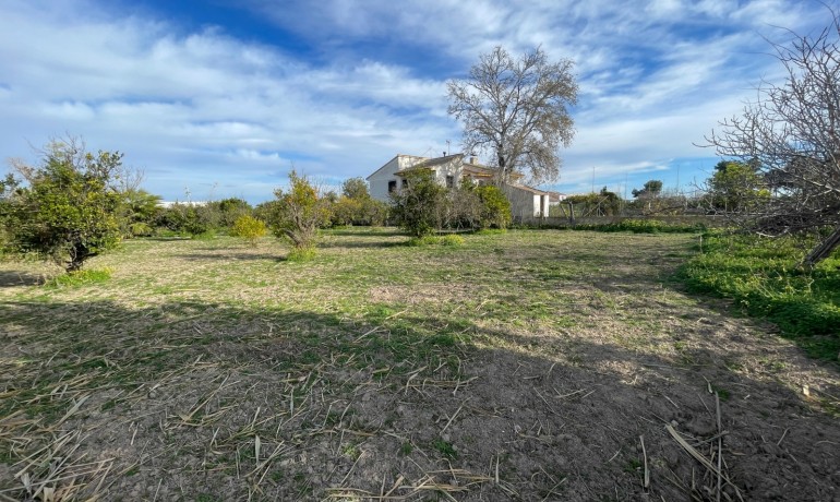 Herverkoop - Villa -
Benejuzar - Comunidad Valenciana