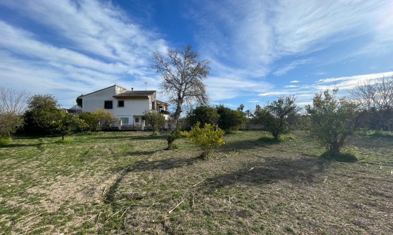 Herverkoop - Villa -
Benejuzar - Comunidad Valenciana
