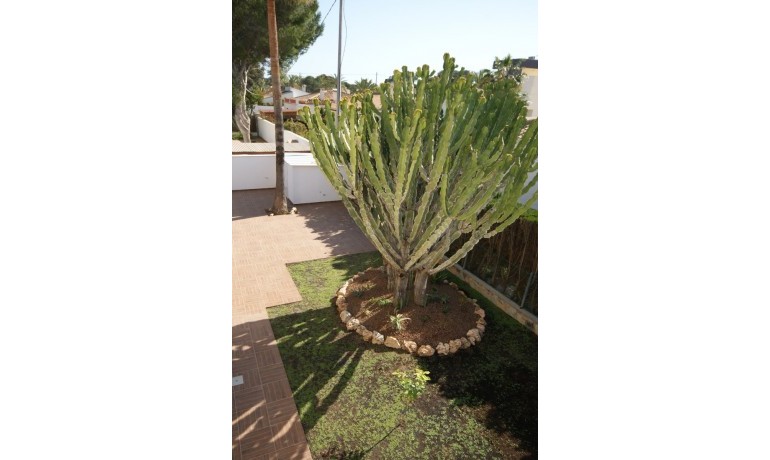 Herverkoop - Villa -
Orihuela Costa* - Costa Blanca