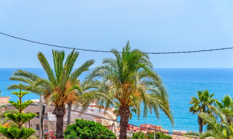 Venta - Villa -
Torrevieja