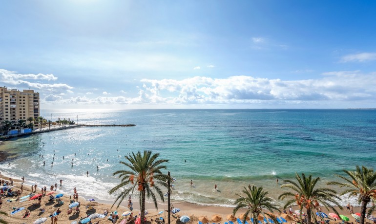 Sale - Apartment / Flat -
Torrevieja