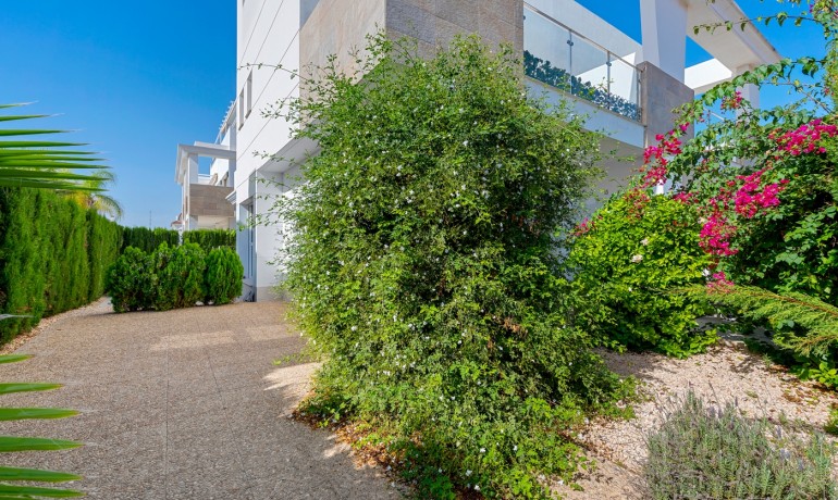 Herverkoop - Villa -
Ciudad Quesada - Doña Pepa