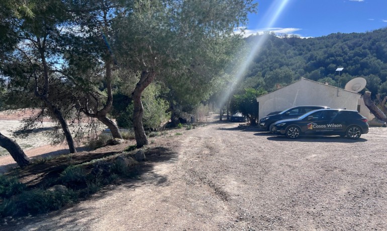 Herverkoop - Finca / Landgoed -
Torremendo