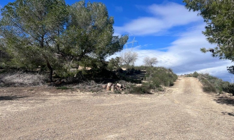 Herverkoop - Finca / Landgoed -
Torremendo