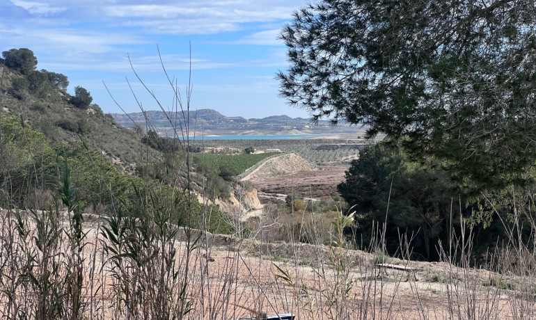 Herverkoop - Finca / Landgoed -
Torremendo