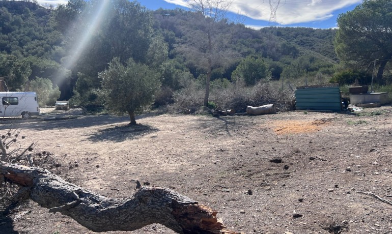 Herverkoop - Finca / Landgoed -
Torremendo