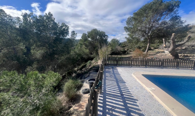 Herverkoop - Finca / Landgoed -
Torremendo