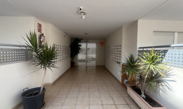 Revente - Appartement / Flat -
Almoradi